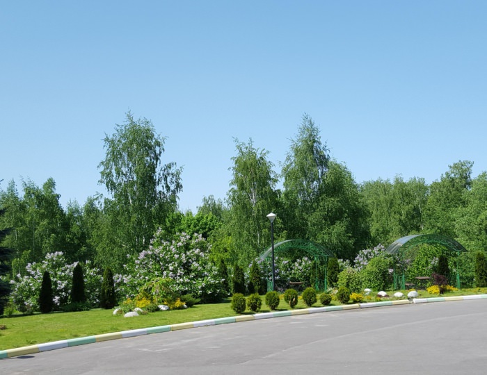 Терренкур - Отель «Orchestra Ока Спа Резорт»