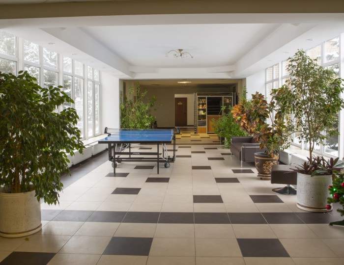 Настольный теннис - Отель «Orchestra Ока Спа Резорт»