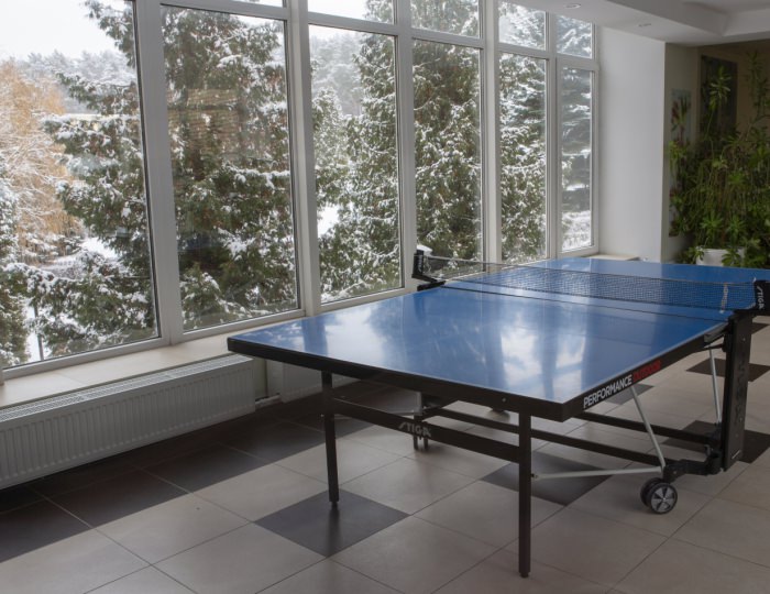 Настольный теннис - Отель «Orchestra Ока Спа Резорт»