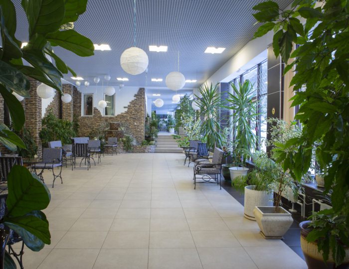 Зимний сад - Отель «Orchestra Ока Спа Резорт»