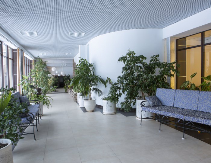 Зимний сад - Отель «Orchestra Ока Спа Резорт»