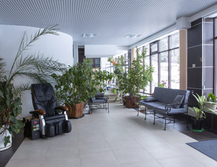 Зимний сад - Отель «Orchestra Ока Спа Резорт»