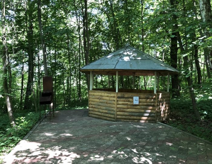 Мангальные беседки - Отель «Orchestra Ока Спа Резорт»