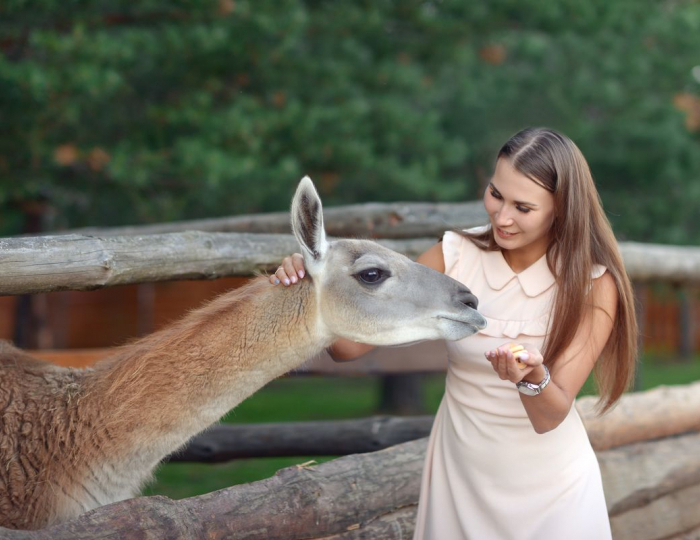 Экопарк - Парк-отель «Бухта Коприно»