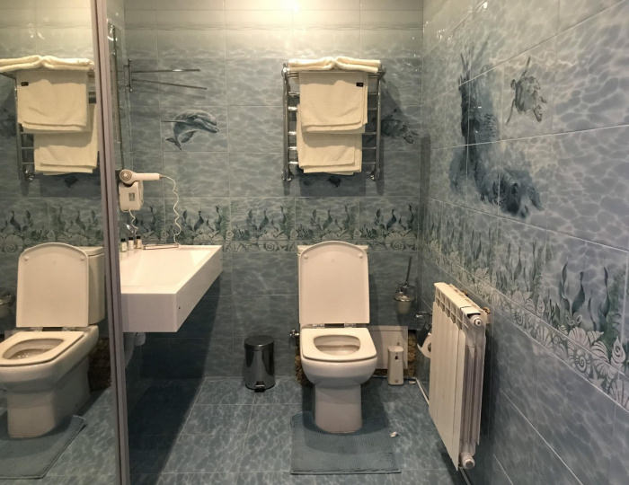 Номер полулюкс с 1 двуспальной кроватью Владыка морей - Гостевой дом «Времена Года» Домодедово