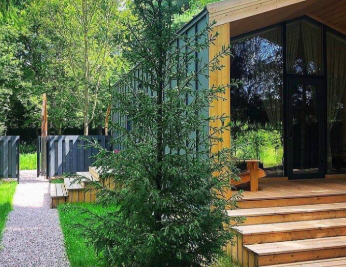 Глэмпинг The dacha / Зэ дача Домодедово