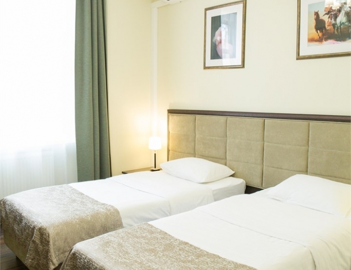 Номер эконом с 2 односпальными кроватями - Отель «Дружба» Жуковский