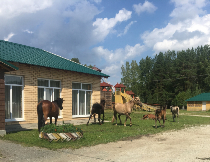 База отдыха «Новая Ельня» Нижние Серги