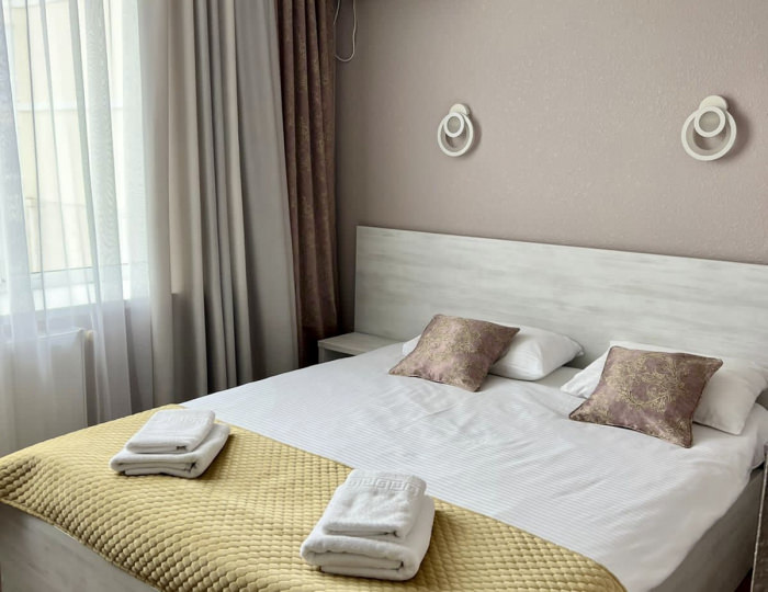 Стандартный 2-местный 1-комнатный - Отель Vstrecha / Встреча Николаевка