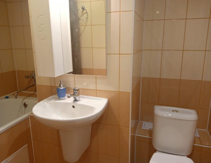 Апартаменты стандарт с 1 двуспальной кроватью #207 - Апарт-отель Fedorov ApartHotel / Федоров Барнаул