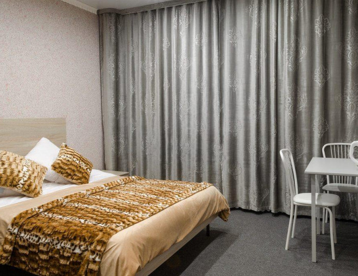 Комната эконом с 1 двуспальной кроватью - Гостевой дом «На Партизанской» Барнаул