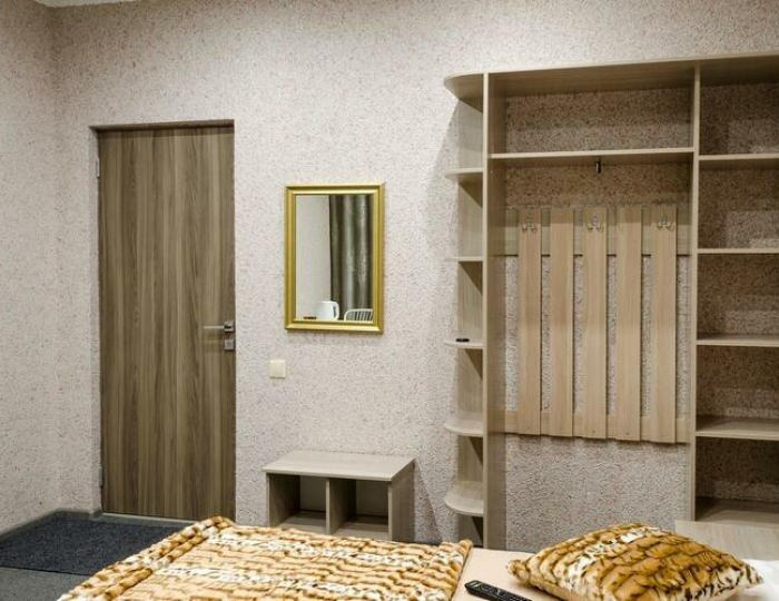 Комната эконом с 1 двуспальной кроватью - Гостевой дом «На Партизанской» Барнаул