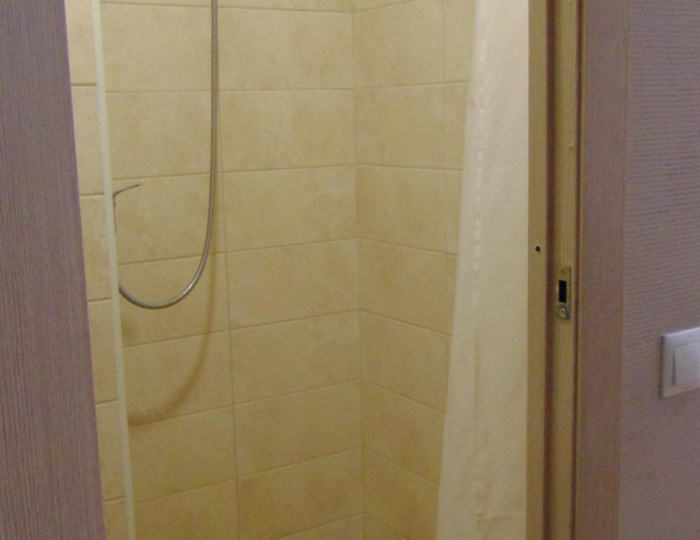 Апартаменты стандарт с 1 двуспальной кроватью - Гостевой дом «Альтаир-22» Барнаул