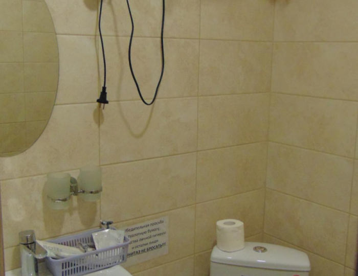 Апартаменты стандарт с 1 двуспальной кроватью - Гостевой дом «Альтаир-22» Барнаул