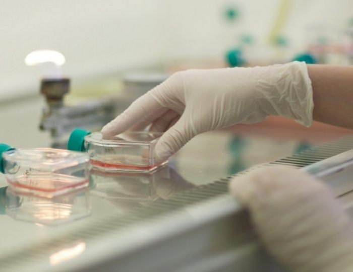 Оздоровительные услуги - Пансионат «Урал» Анапа