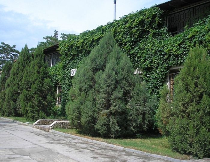 ТОК «Судак»