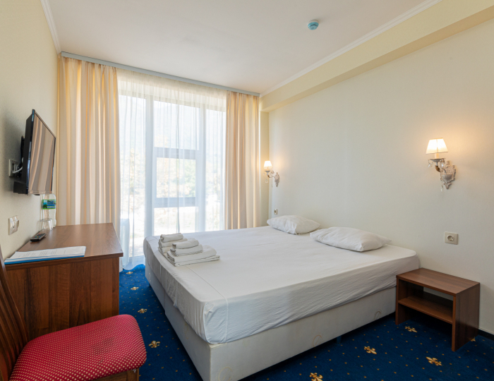 Эконом 2-местный 1-комнатный без балкона - Отель «Европа» Гагра