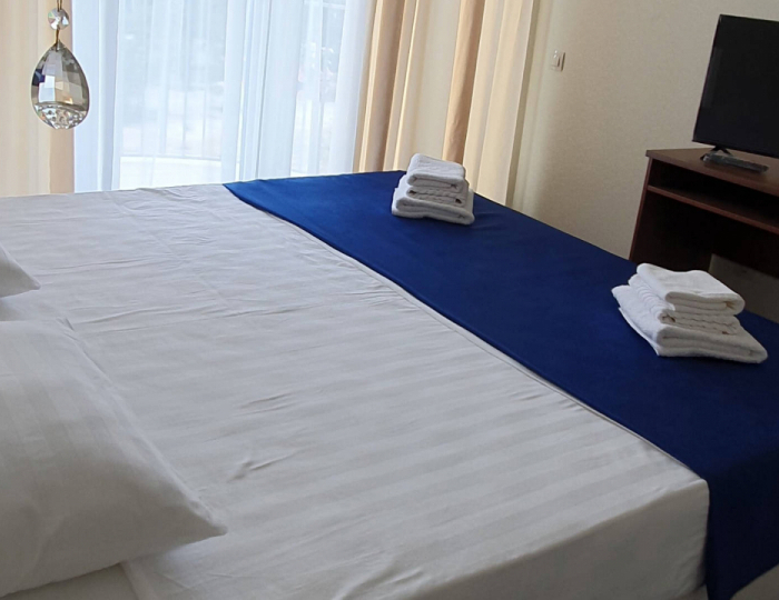 Стандарт 2-местный 1-комнатный DBL вид на горы /сад - Отель «Европа» Гагра