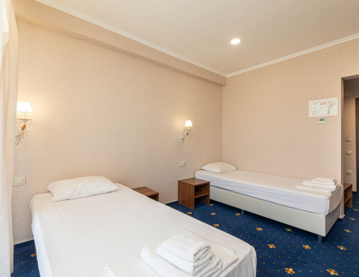 Стандарт 2-местный 1-комнатный TWIN вид на горы /сад - Отель «Европа» Гагра