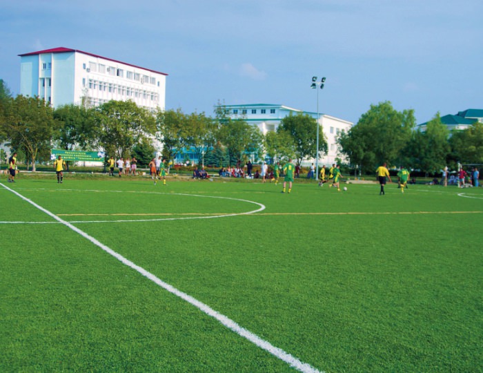 Футбольное поле - Санаторий «Парус ALL Inclusive» Анапа