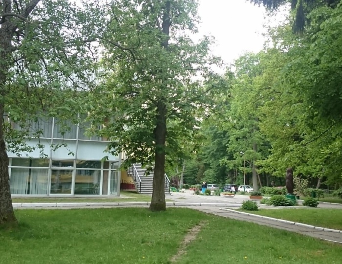 Санаторий «Отрадное» Светлогорск