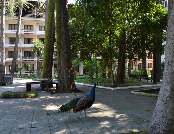 Пансионат «Айтар»