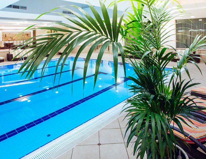 Бассейн - Отель Mistral Hotel & SPA / Мистраль СПА