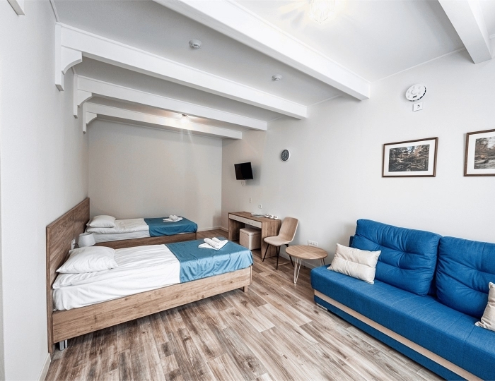 Номер 1 категории двухместный "Твин" (однокомнатный) - ЛОК «Долина Алтая»