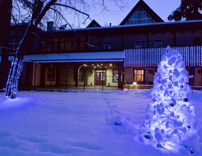 Арт-отель «Пушкино»