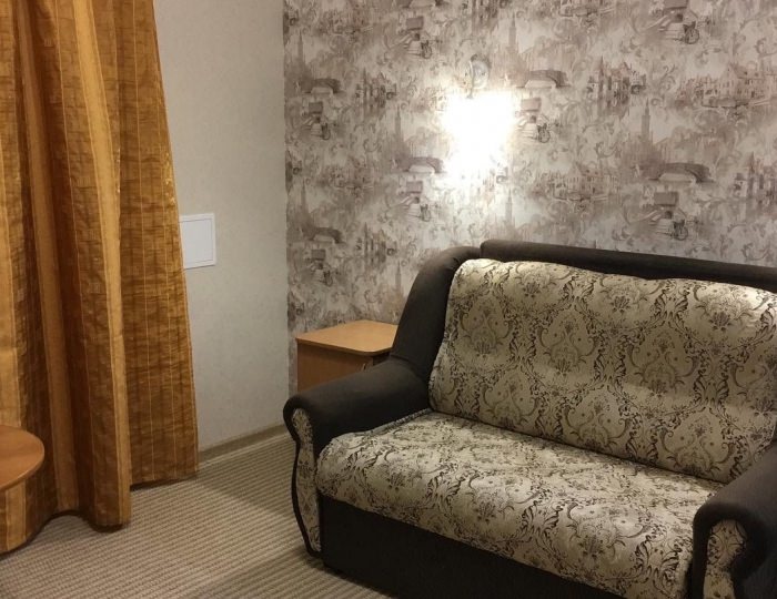 ДЖУНИОР СЮИТ ДВУХМЕСТНЫЙ - Гостиница «Русь» Барнаул