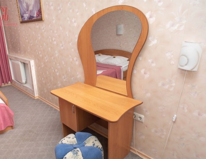 "ЛЮКС" ОДНОМЕСТНЫЙ - Гостиница «Русь» Барнаул