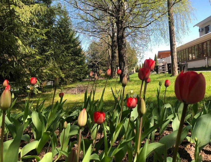 Отель «Шереметьево»