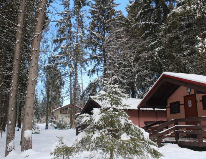 Спортивно-оздоровительный комплекс «Солонцово»