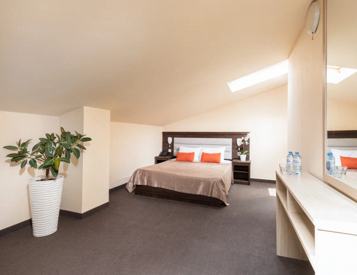 Standard 2- местный мансарда 15 кв. м. - Отель Democratia Ultra All Inclusive Family Hotel / Демократия Ультра Все Включено