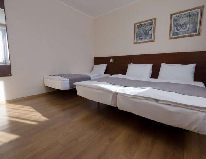 Standart TRPL - Отель Monte Gudauri / Монте Гудаури