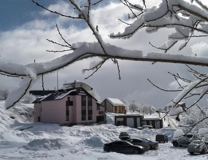 Отель Gudauri Soncho Hotel / Гудаури Сончо