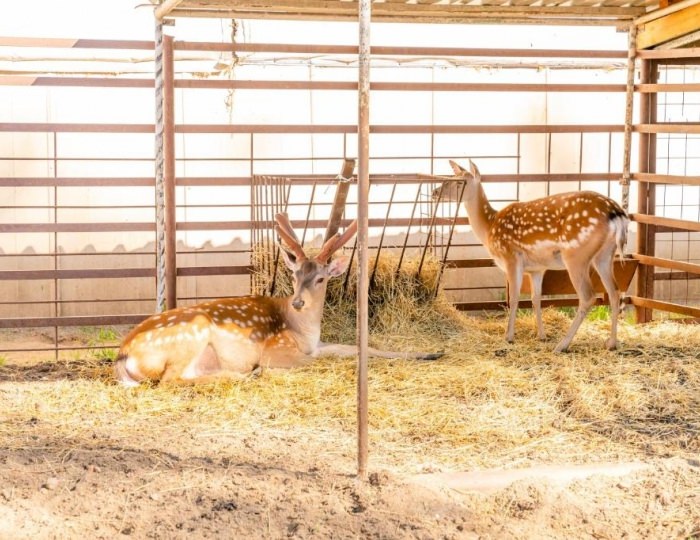 Услуги, развлечения и спорт - Отель «АлександрЪ»