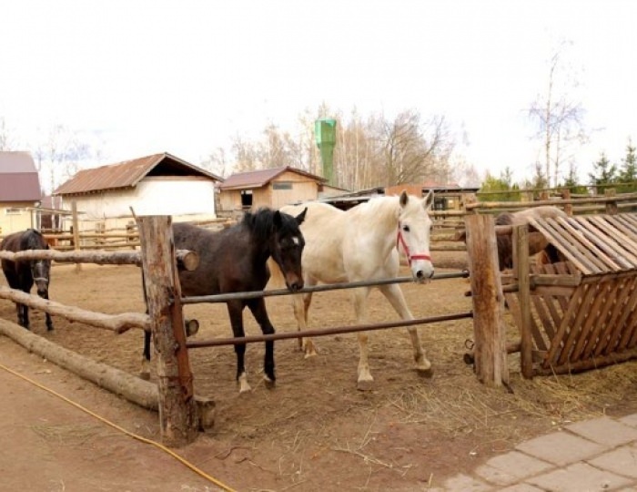 Услуги, развлечения и спорт - Отель «АлександрЪ»