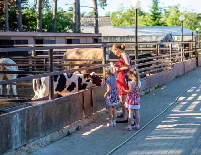 Услуги для детей - Отель «АлександрЪ»