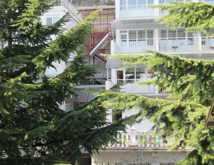 База отдыха «Мечта» Гурзуф