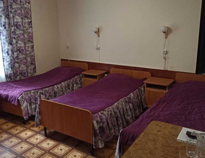 Стандарт 3-местный в домике - Санаторий «Хопровские зори» Колышлей