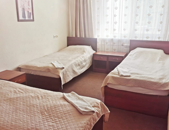 Стандарт 3-мест.TWIN - База отдыха «Красная гвоздика» Мансурово