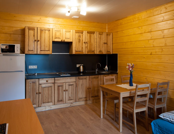 Апартаменты с балконом - Отель «Корабль» Большое Ивановское