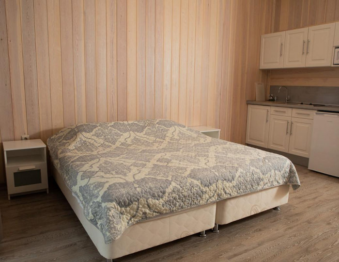 Студия 2-местная улучшенная - Отель «Корабль» Большое Ивановское