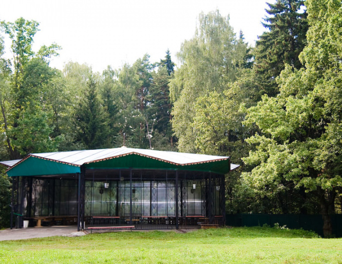 Пансионат с лечением «Солнечная поляна» Волково