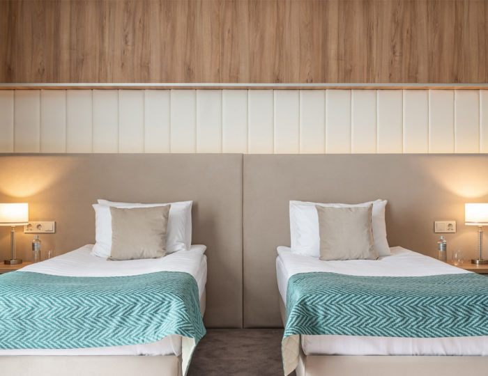 Делюкс 2 местный Плюс - Гостиница «Вилла Альпина» Абрамцево