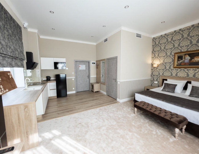 Номер 2-местный студио - Гостиница «Гармония» Луховицы