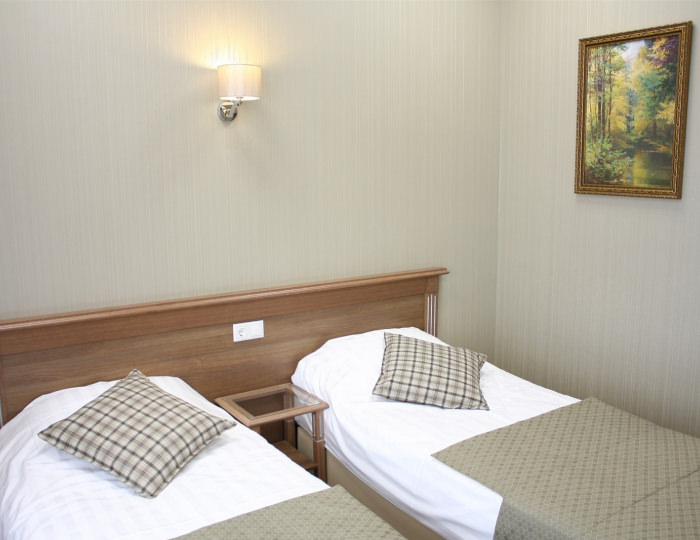 Полулюкс 2-местный - Гостиница «Гармония» Луховицы