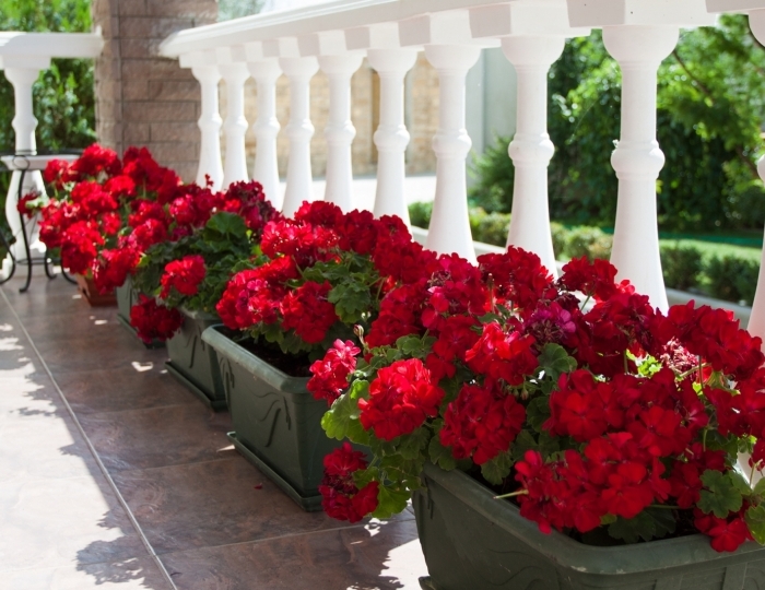 Гостевой дом «Ольга» Саки