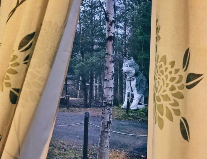 3-местный номер Дом Хаски№2 - Гостевой дом Husky Moa / Хаски Моа